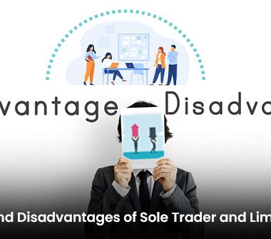 Advantages and Disadvantages of Sole Trader and Limited Company