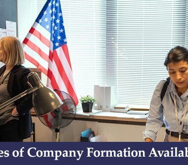 Different Types of Company Formation Available in the USA
