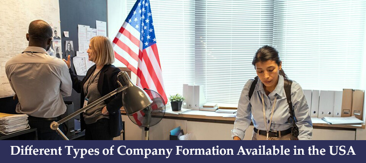 Different Types of Company Formation Available in the USA